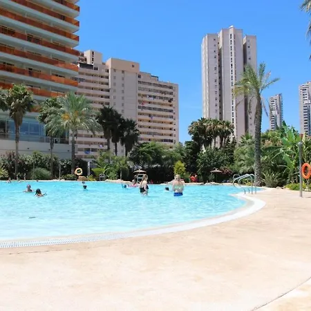 Vacaciones En Gemelos 22 Benidorm